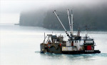 Op de Prince William Sound naar Whittier